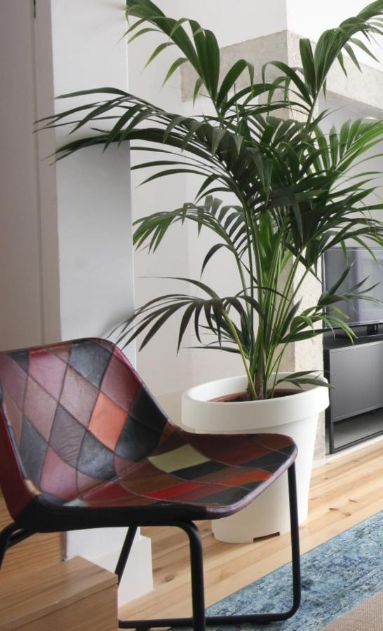 The Lookout Duplex - Bairro Alto Lisboa